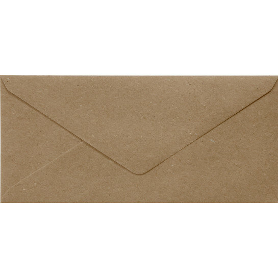 Dalset Pijnboom verkenner Recycled Kraft Brown DL envelop bestellen? Bestel uw enveloppen bij  Papicolor.