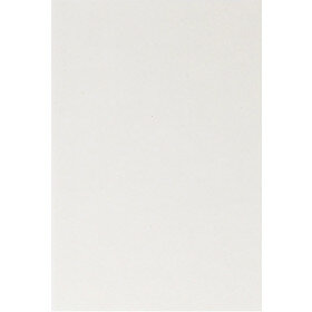 (No. 301321) 6x karton A4 recycled kraft wit 210 x 297 mm - 220 grams (FSC Recycled Credit)