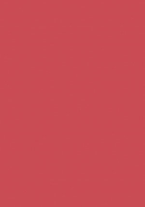 (No. 3018309) 10x karton HobbyCard 210x297mm- A4 rood 270 grams