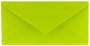 (No. 305967) 6x envelop Original 110x220mm DL appelgroen 105 grams (FSC Mix Credit)