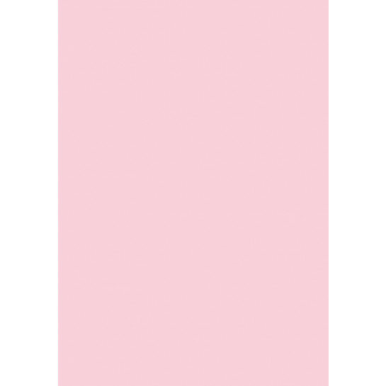 (No. 3018302) 10x carton HobbyCard 210x297mm- A4 rosa 270 g/m²