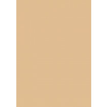 (No. 3018338) 10x carton HobbyCard 210x297mm- A4 camel 270 g/m²