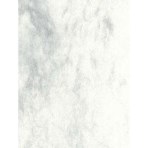 (No. 30061) 12x papier Marble 210x297mm-A4 gris clair marbré 90 g/m² 