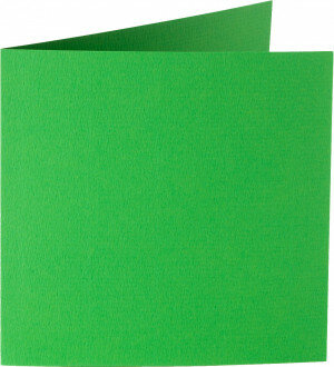 (No. 310907) 6x carte double Original 132x132mm vert vif 200 g/m² (FSC Mix Credit) 